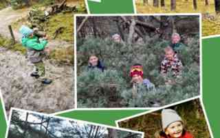 Herbstzeit-Collage
