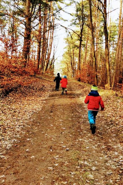 Frühlingserwecken1Web Kinder gehen im Wald spazieren
