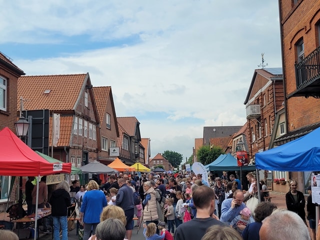 2024-05-31 Bleckede 08WEB
