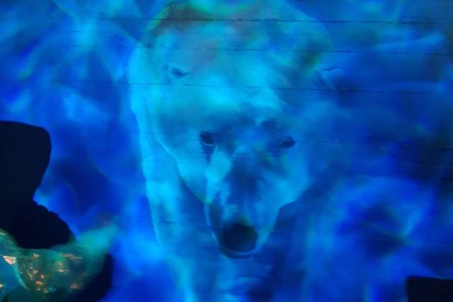 22-04-11Zoobesuch2