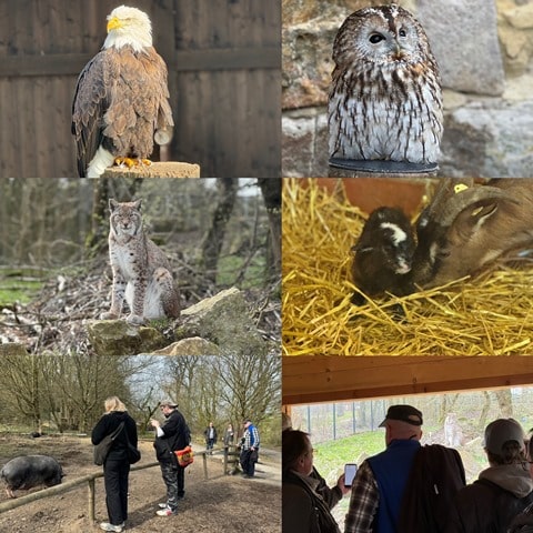 FotoTierparkSababurgWEB