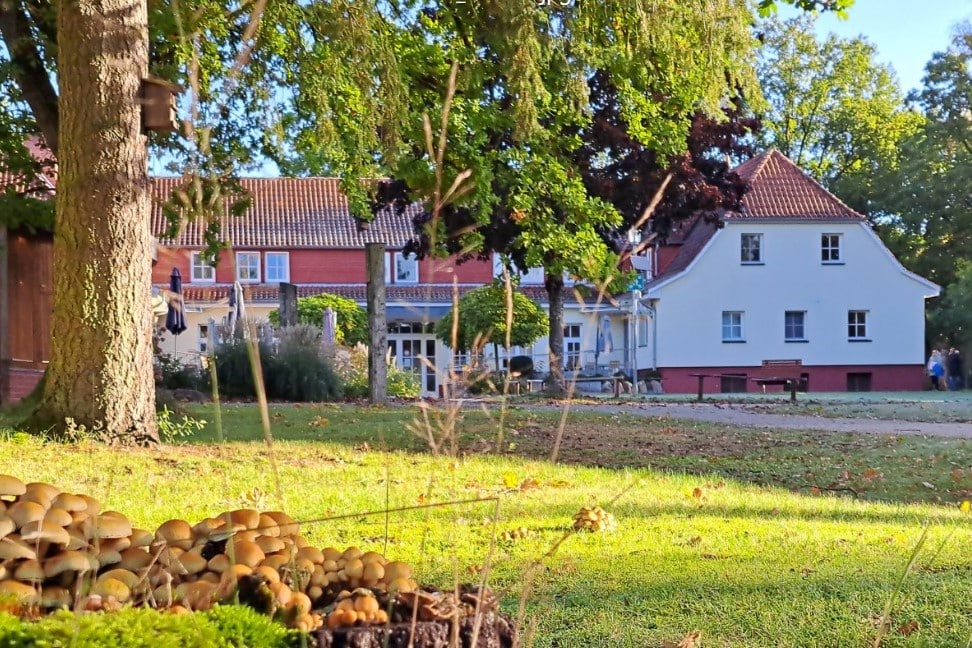 Gelände im Herbst 02