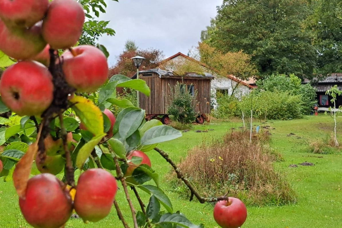 Gelände im Herbst 03