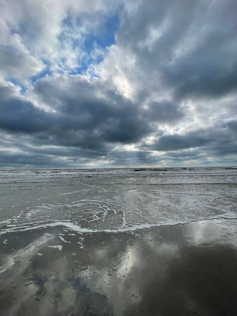 IMG-20240719-WA0018WEB