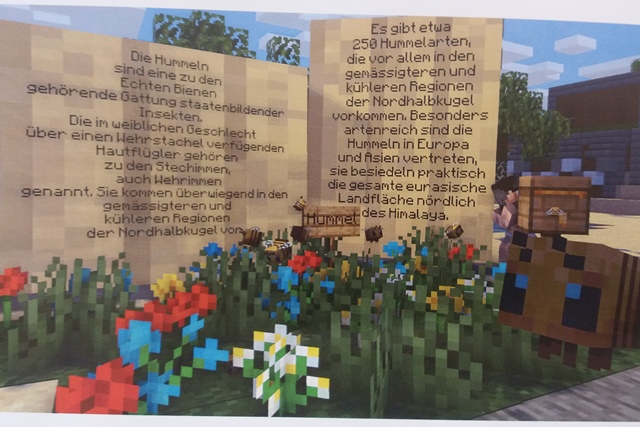 Minecraft Plakat Hummeln