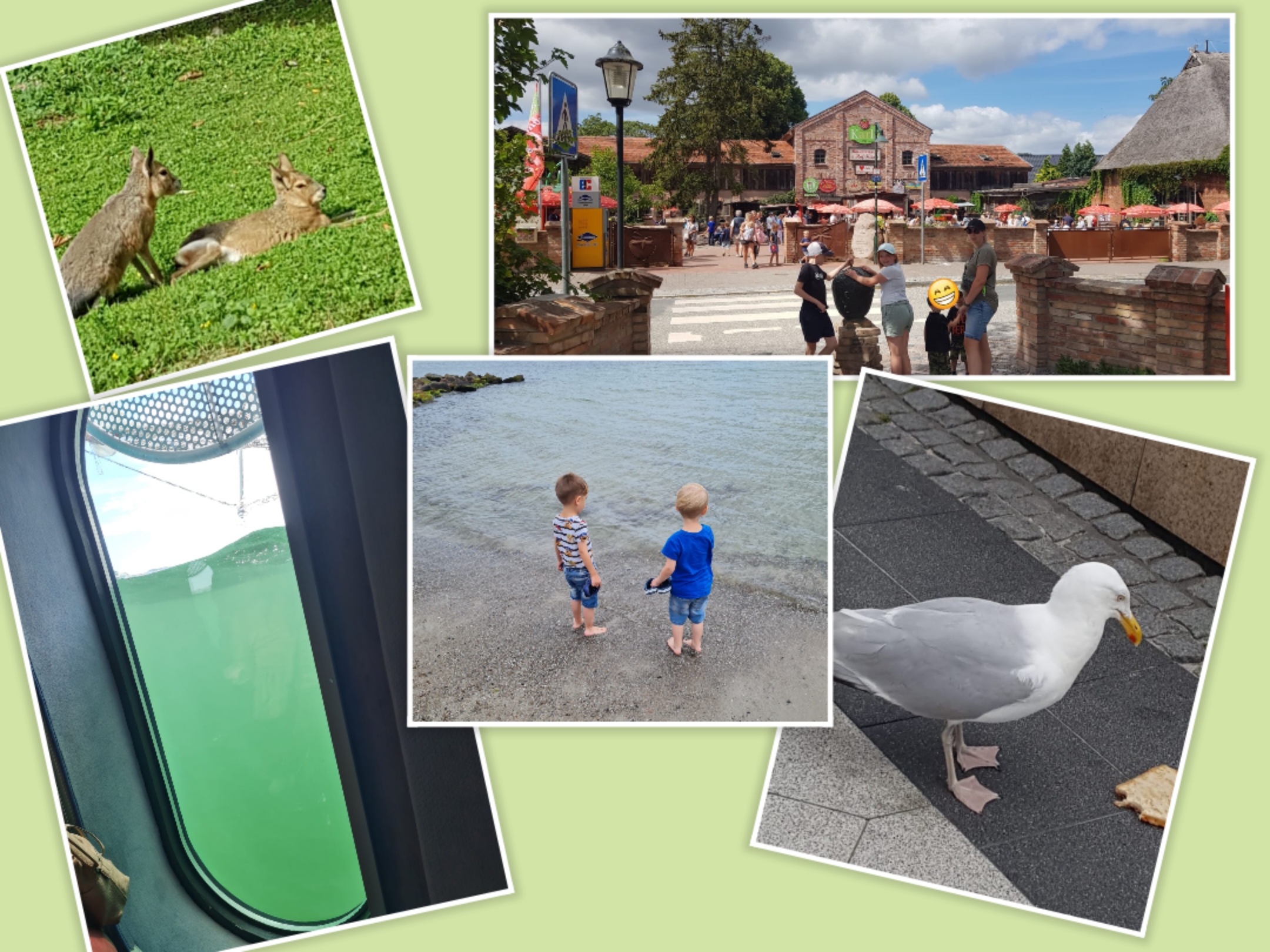 Ostsee Kiewell-Ziedorn2