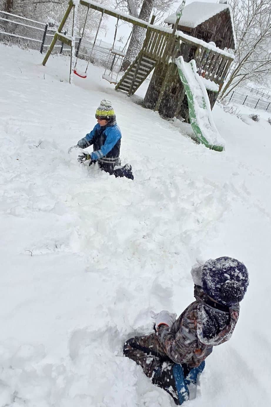 SchneemannbauWEB
