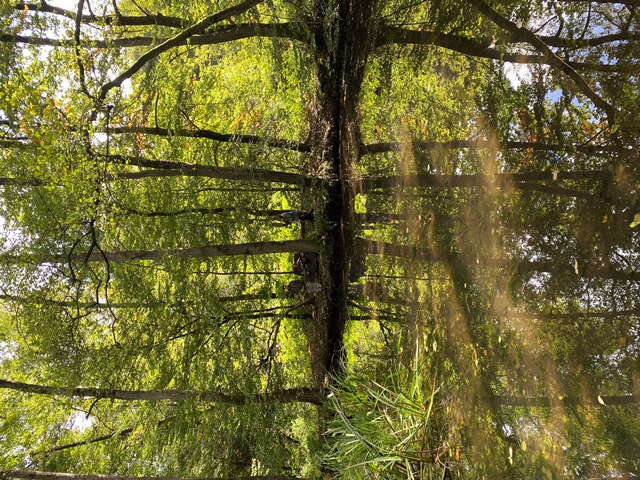 WanderungTeichhof4WEB